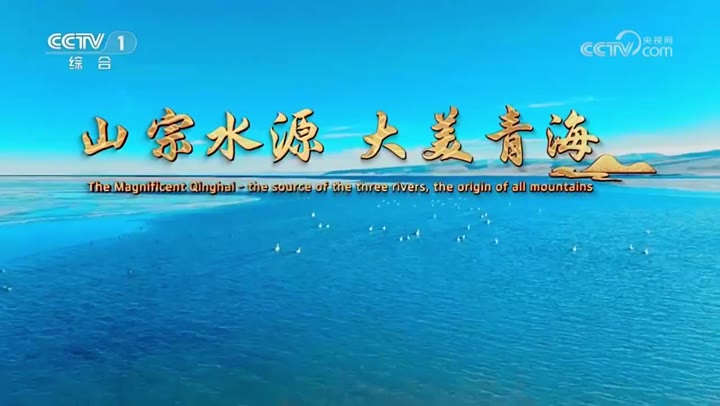无明确品牌察尔汗湖盐 · 央视广告播出案例