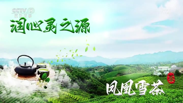 未明确品牌的农特作物产品 · 央视广告播出案例