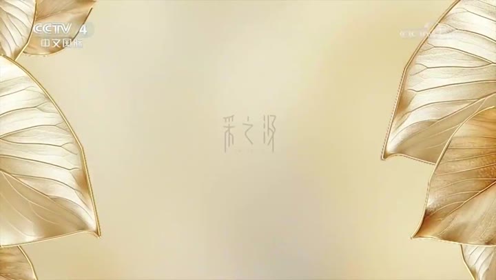 采之汲苦方酵润精华水 · 央视广告播出案例