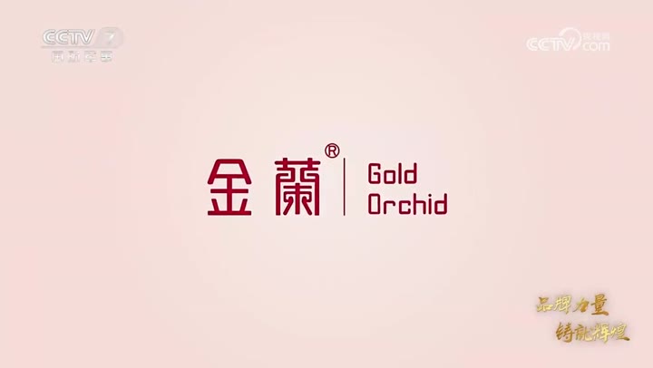金兰（金哥兰妹）首饰 · 央视广告播出案例